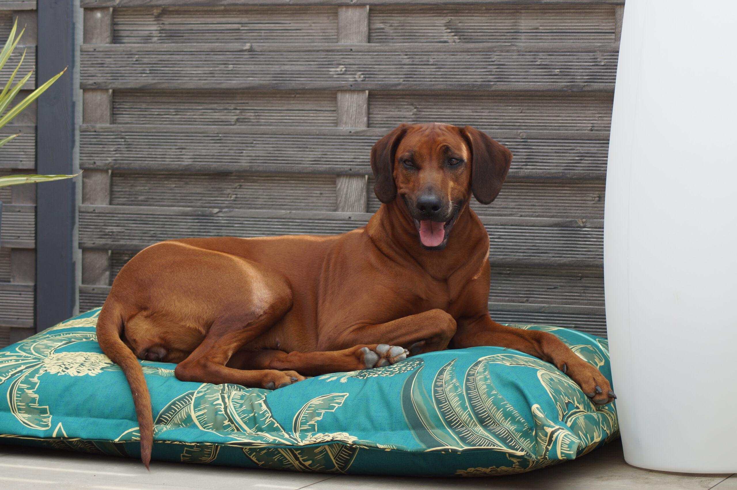 Outdoor Hundebett Hundekissen Boutique
