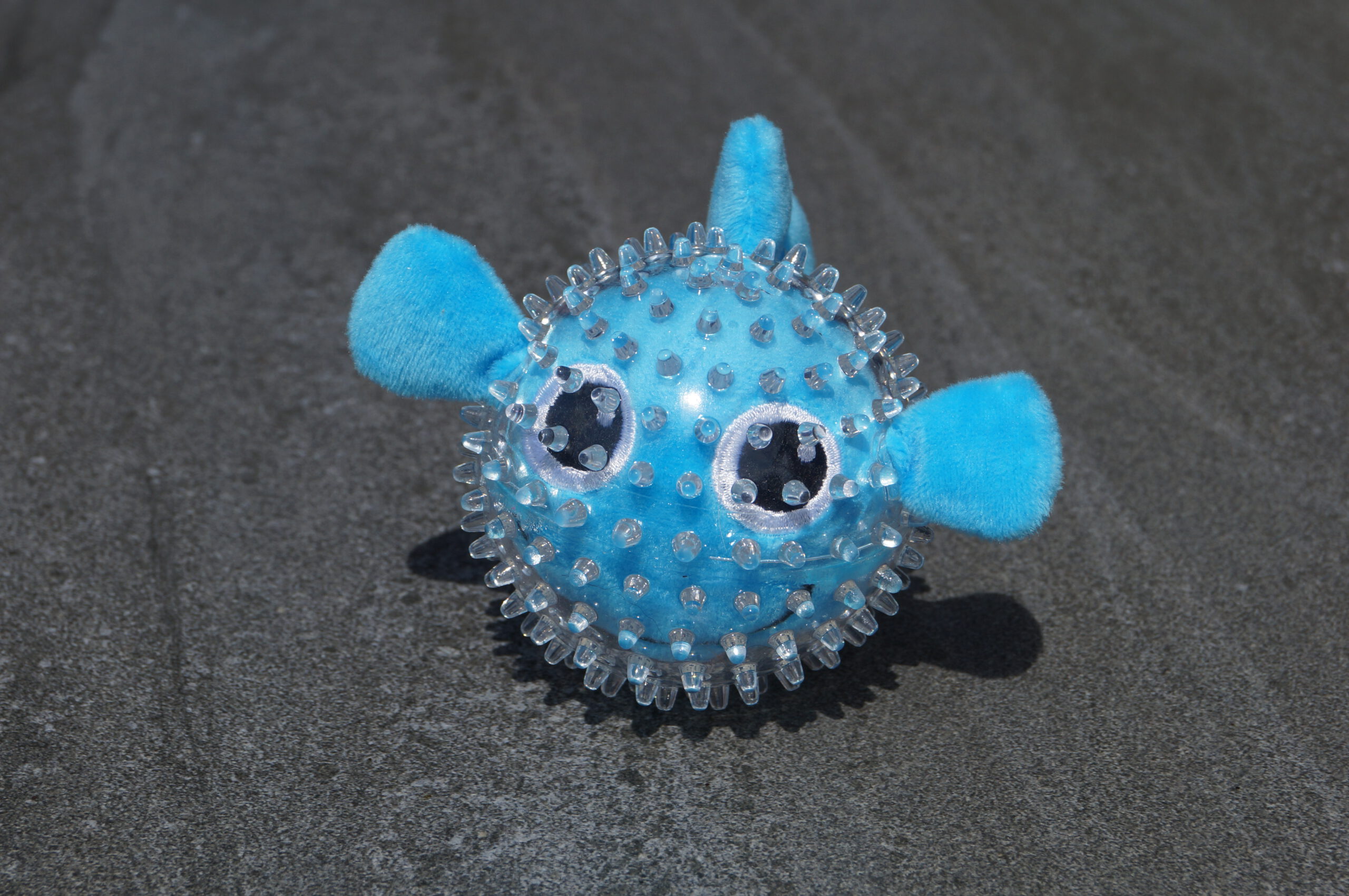 Hundeball Meeresmotiv