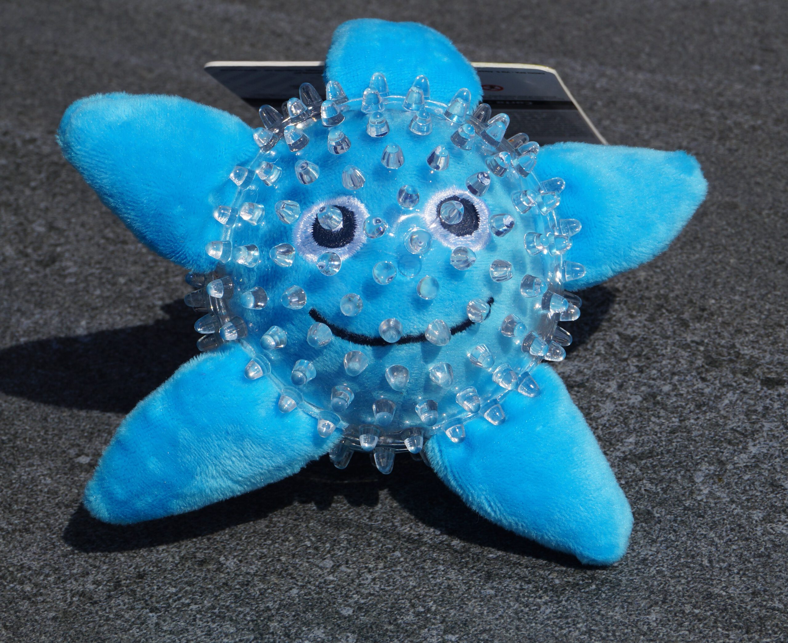 Hundeball Meeresmotiv Seestern blau