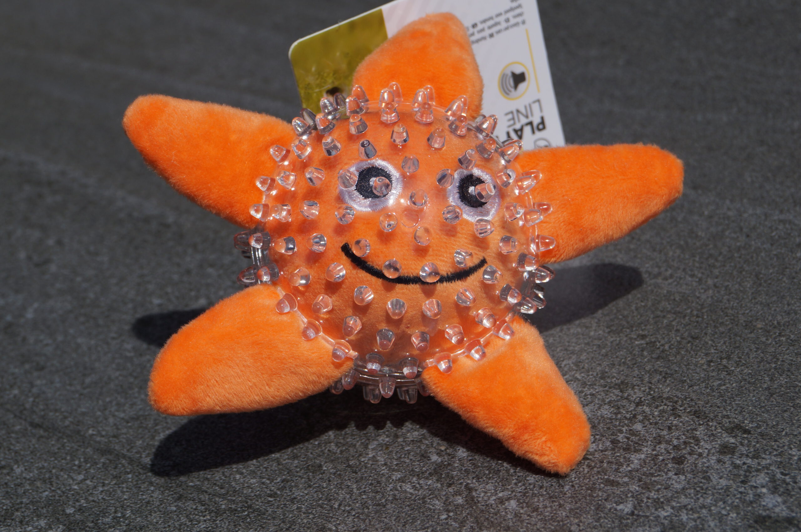 Hundeball Meeresmotiv Seestern orange