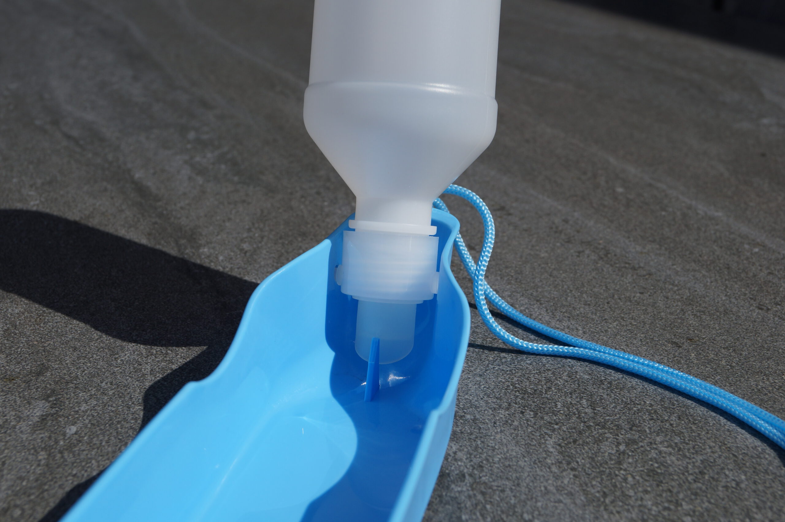 Reise Trinkflasche Hund