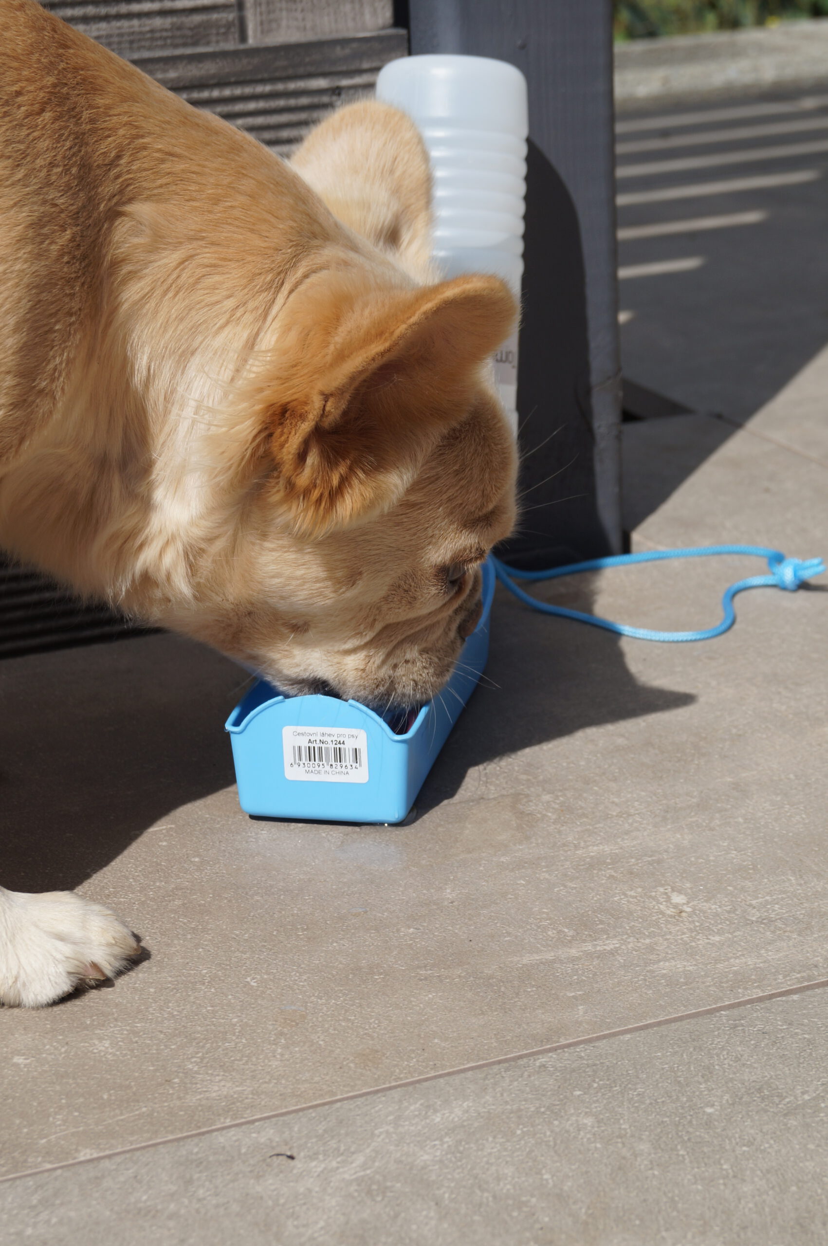 Reise Trinkflasche Hund